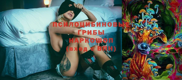 дурь Михайловск
