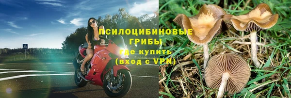 стаф Мегион